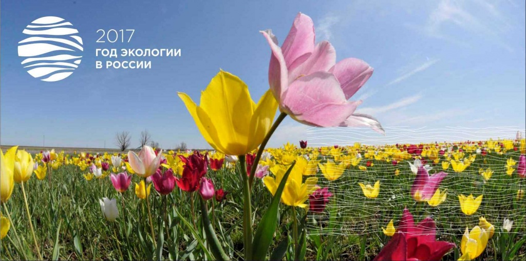 II этнокультурный природоохранный Фестиваль тюльпанов пройдет 22 и 23 апреля
